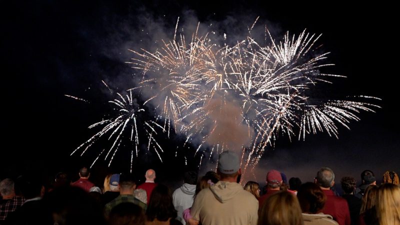 A crowd of people seen from behind while bright white fireworks explode against a black sky.